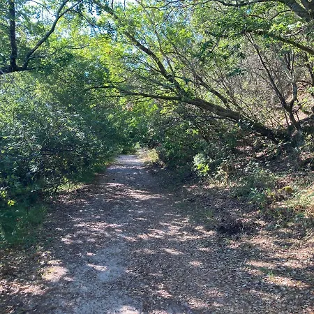 Dom wakacyjny Les Ptits Nids Du Lacanau