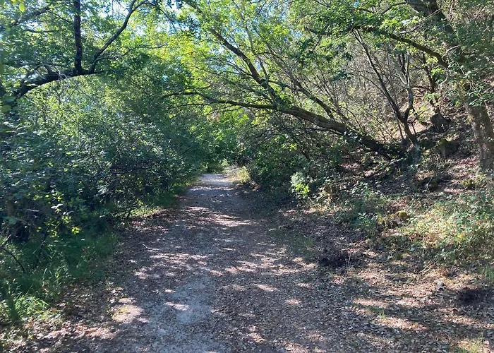 Dom wakacyjny Les Ptits Nids Du Lacanau